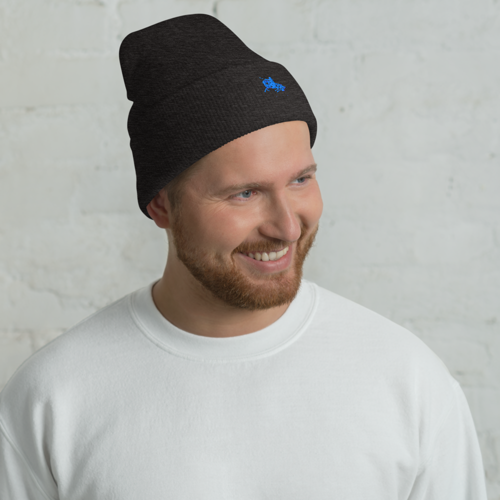 Cuffed beanie